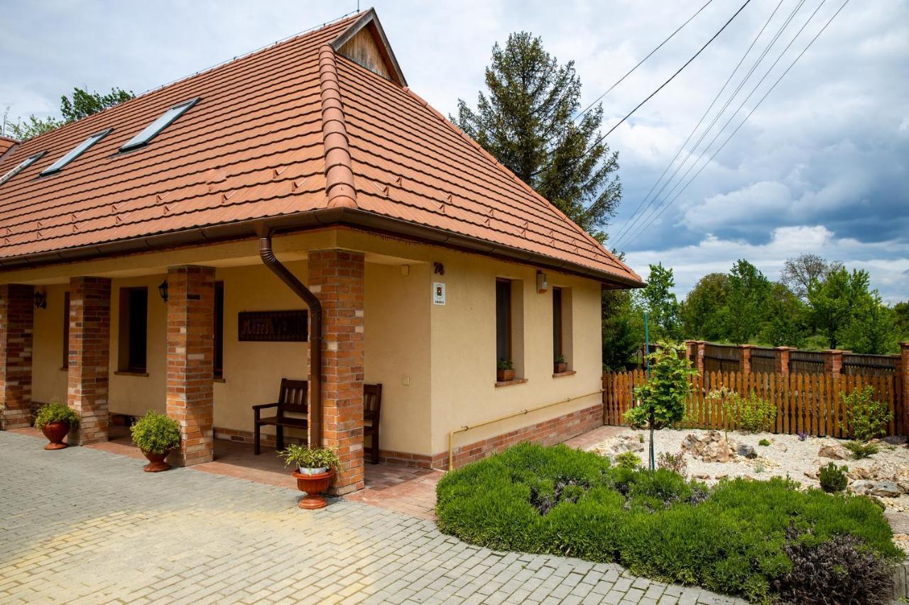 Hotel Mezes Vendeghaz Es Apiterapias Koezpont Vizsoly Exterior foto