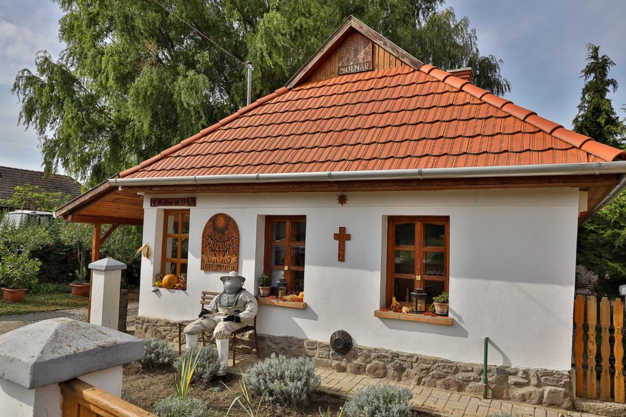 Hotel Mezes Vendeghaz Es Apiterapias Koezpont Vizsoly Exterior foto